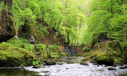 cantal auvergne - Image