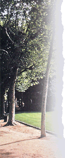 Le jardin Henri Vinay (Le Puy en Velay)