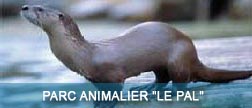 Parcs animaliers et de loisirs : Le Pal à Dompierre sur Besbre (Allier)
