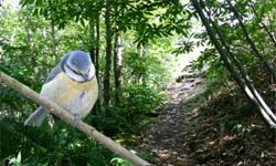 BALADES NATURE EN AUVERGNE