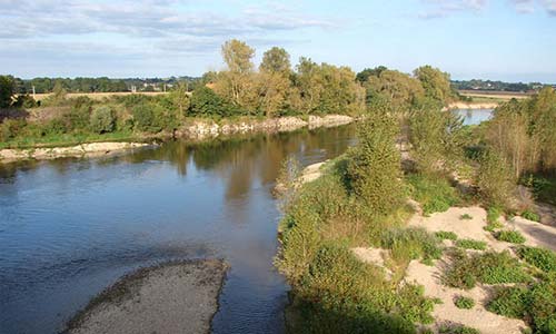 Rserve Naturelle nationale du Val d'Allier (Allier)