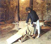 Musée des Tanneries, Maringues (tannage des peaux)