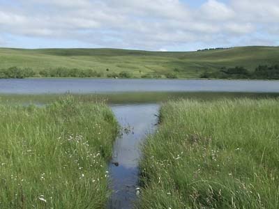 Prairie du lac d'En Bas