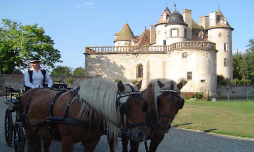 Le Chteau de La Barge  Courpire (Puy-de-Dme)