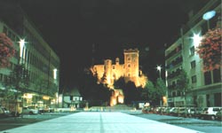 Montlu�on