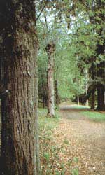 LE PARC DE CHTEAUNEUF LES BAINS