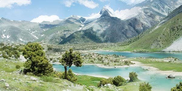 Tadjikistan (Rpublique du)